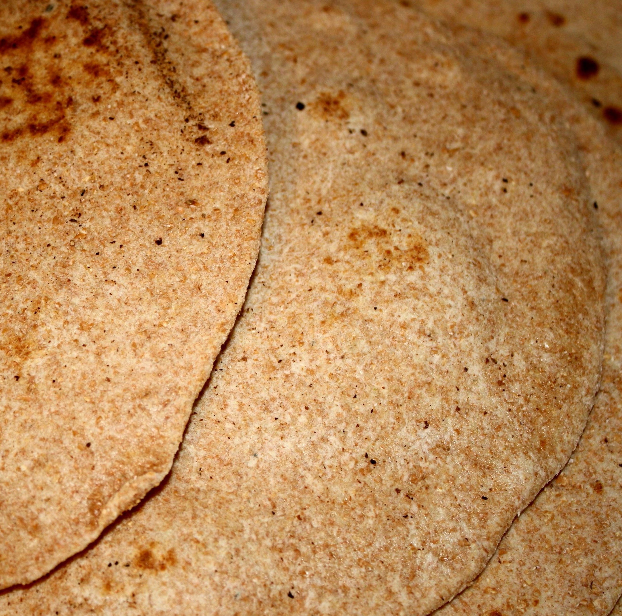 Extreme closeup of world's best whole wheat tortilla recipe using khorasan wheat