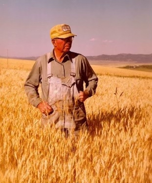 Grandpa Campbell standing in overalls in a field of golden wheat